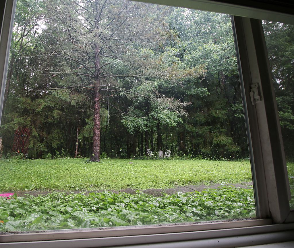 2B Nature Views